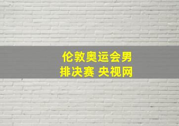 伦敦奥运会男排决赛 央视网